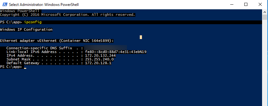 ipconfig in running container